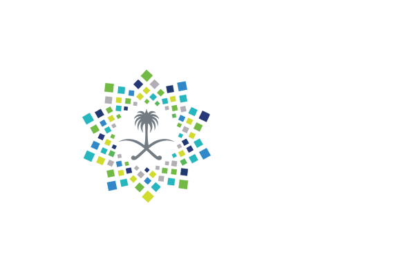 رؤية السعودية 2030